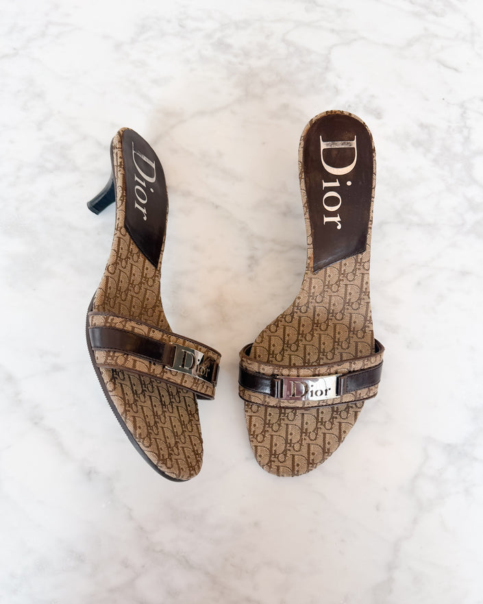 Dior Y2K Diorissimo Monogram Logo Kitten Heels (37)
