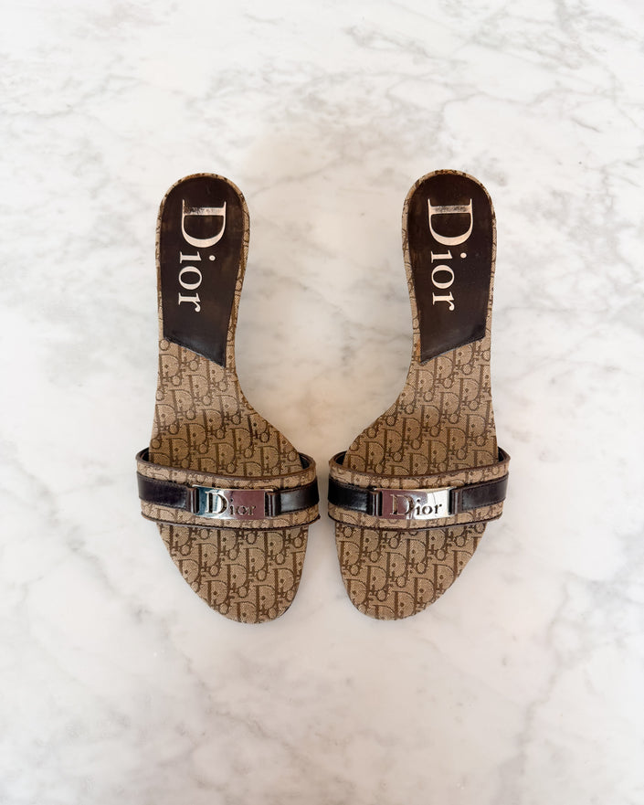 Dior Y2K Diorissimo Monogram Logo Kitten Heels (37)