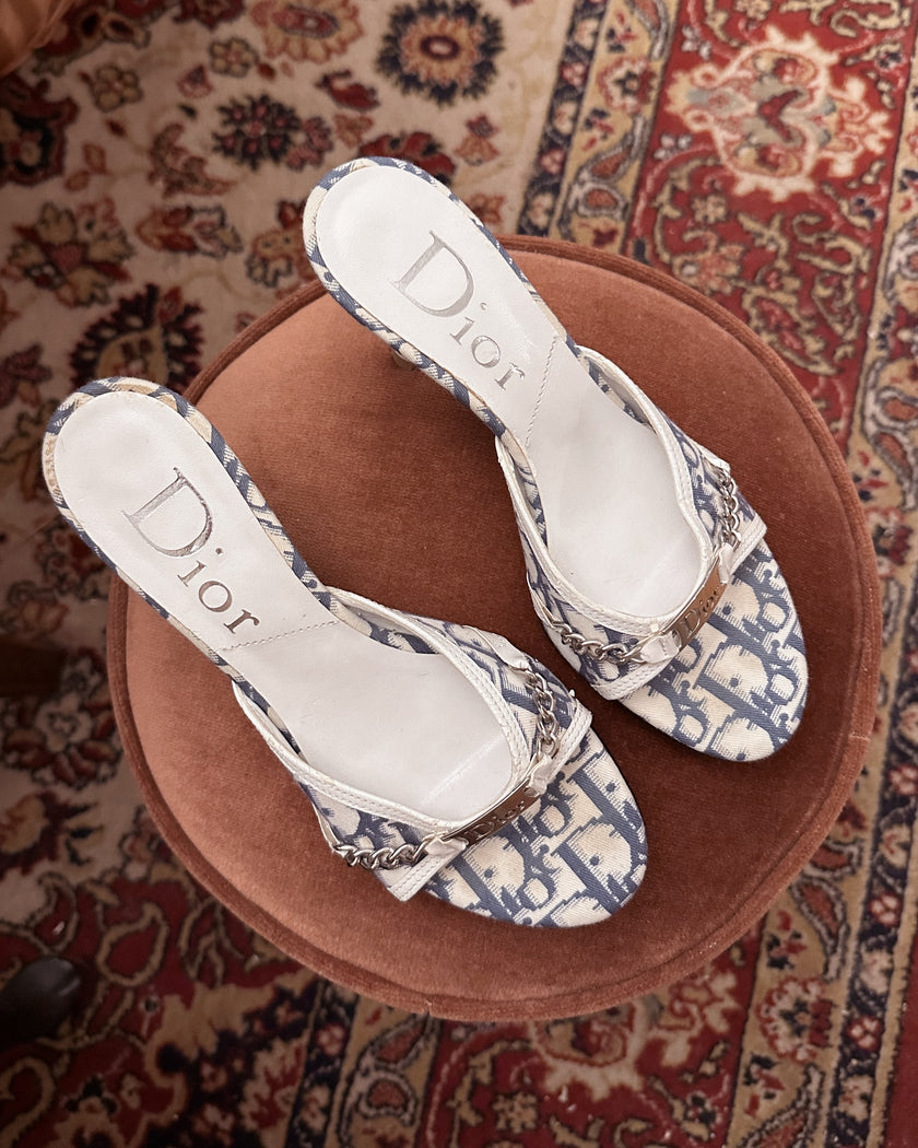Dior 2000s Monogram Mules (37)