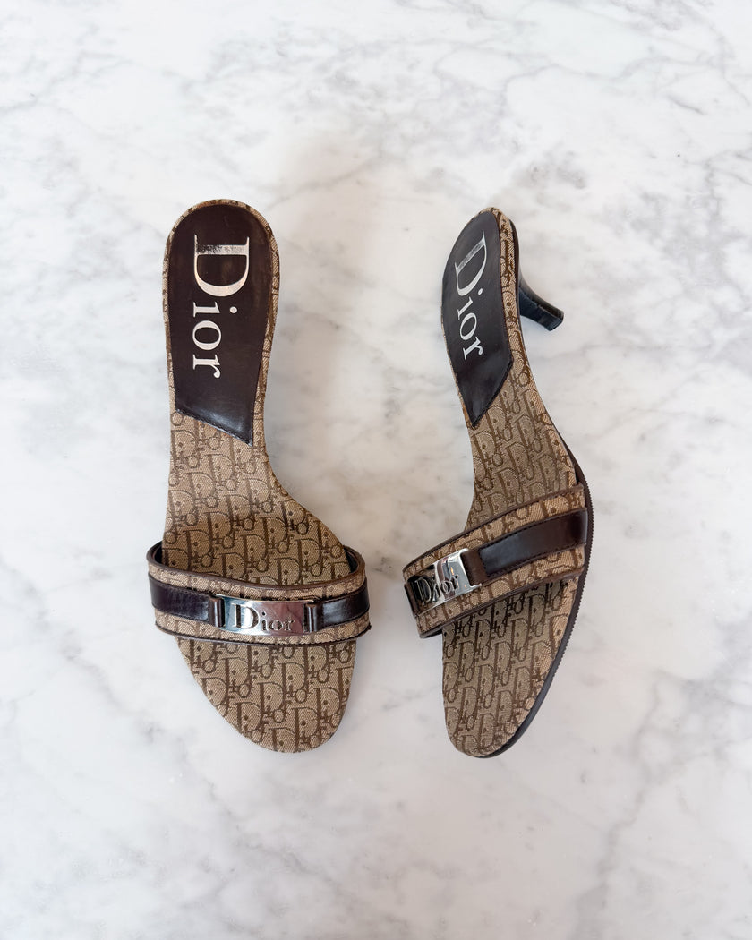 Dior Y2K Diorissimo Monogram Logo Kitten Heels (37)