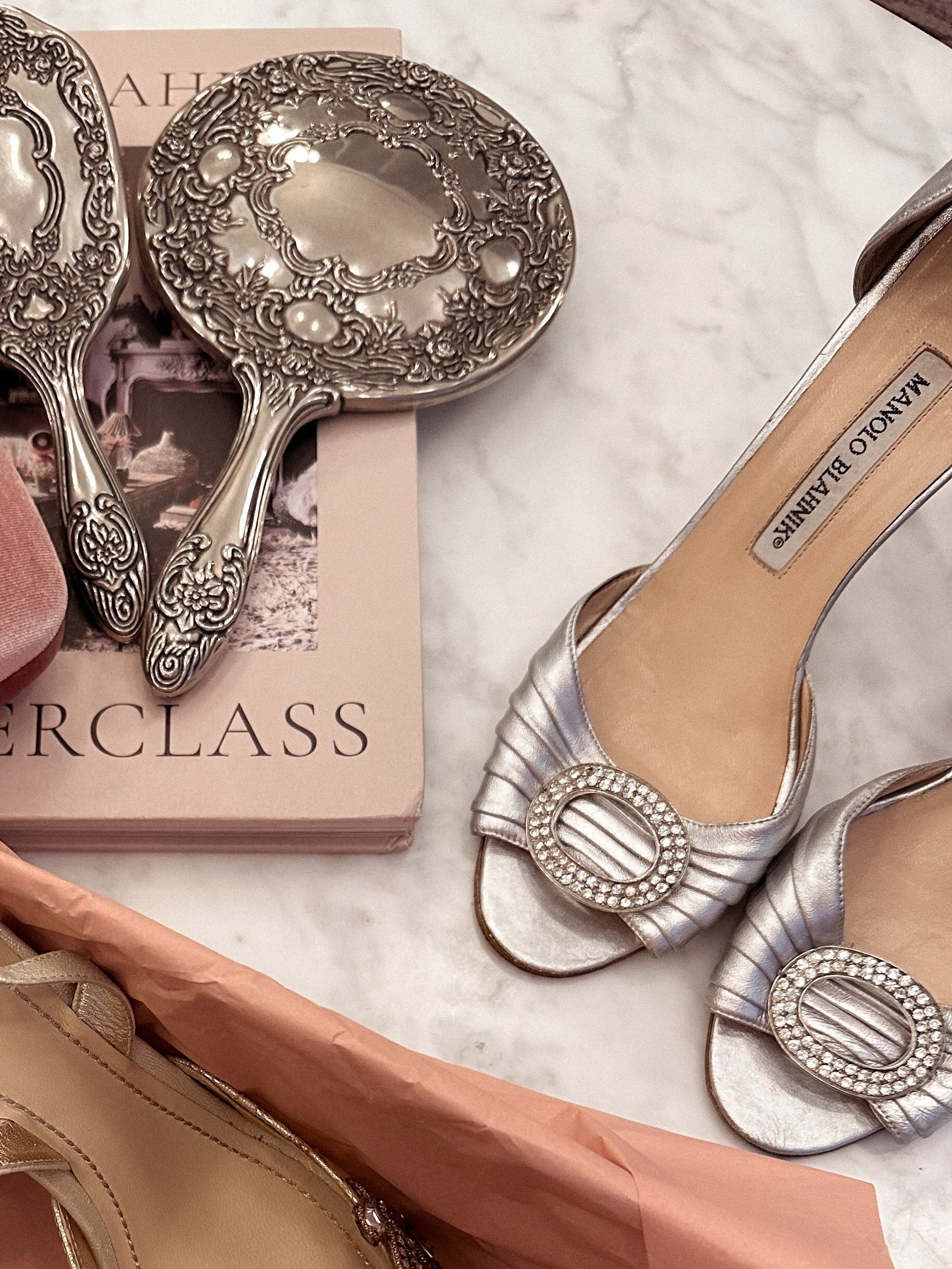Manolo Blahnik Sedaraby Pumps in Silver (38)